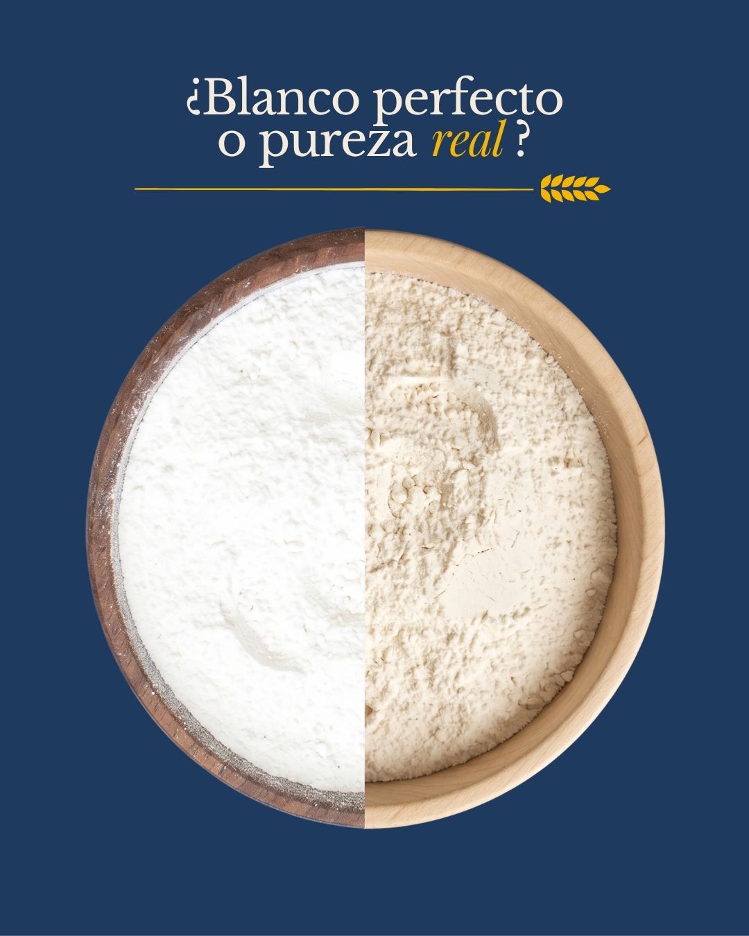 Comparación: harina blanqueada versus harina Oro Blanco color crema